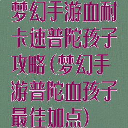梦幻手游血耐卡速普陀孩子攻略(梦幻手游普陀血孩子最佳加点)