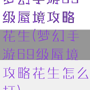 梦幻手游69级蜃境攻略花生(梦幻手游69级蜃境攻略花生怎么打)