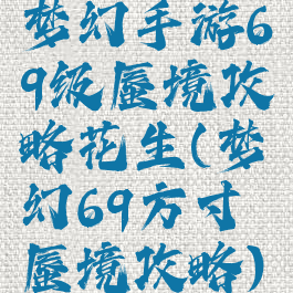 梦幻手游69级蜃境攻略花生(梦幻69方寸蜃境攻略)