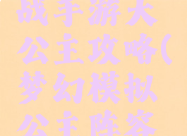 梦幻模拟战手游大公主攻略(梦幻模拟公主阵容攻略)