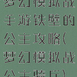 梦幻模拟战手游铁壁的公主攻略(梦幻模拟战公主骑兵)