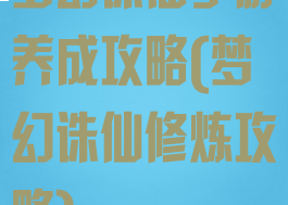 梦幻诛仙手游养成攻略(梦幻诛仙修炼攻略)