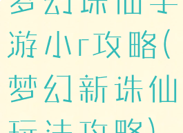 梦幻诛仙手游小r攻略(梦幻新诛仙玩法攻略)