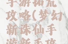 梦幻诛仙手游拓荒攻略(梦幻新诛仙手游新手攻略)