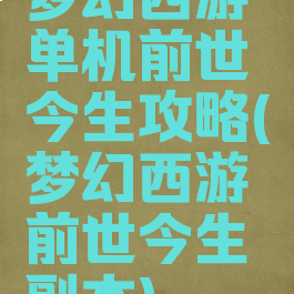 梦幻西游单机前世今生攻略(梦幻西游前世今生副本)
