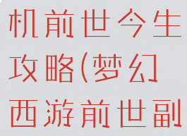 梦幻西游单机前世今生攻略(梦幻西游前世副本攻略)
