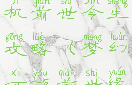 梦幻西游单机前世今生攻略(梦幻西游前世缘)