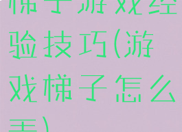 梯子游戏经验技巧(游戏梯子怎么弄)