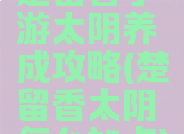 楚留香手游太阴养成攻略(楚留香太阴怎么加点)