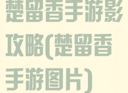 楚留香手游影攻略(楚留香手游图片)