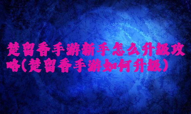 楚留香手游新手怎么升级攻略(楚留香手游如何升级)