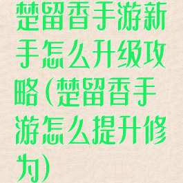 楚留香手游新手怎么升级攻略(楚留香手游怎么提升修为)