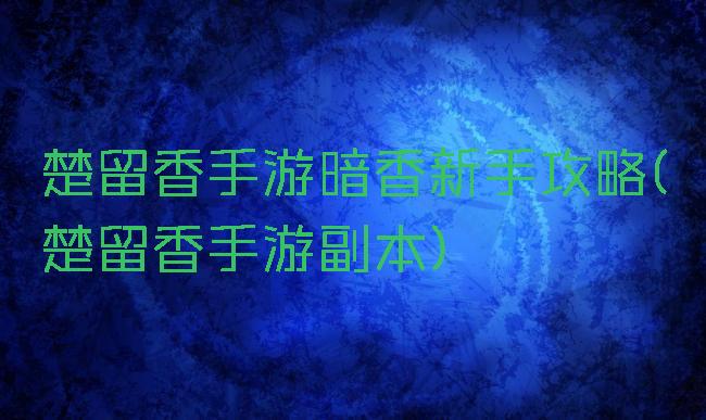 楚留香手游暗香新手攻略(楚留香手游副本)