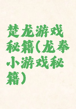楚龙游戏秘籍(龙拳小游戏秘籍)