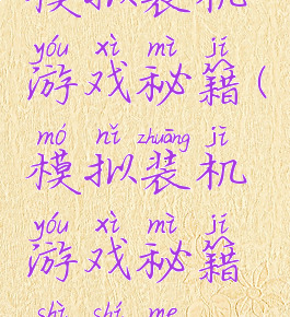 模拟装机游戏秘籍(模拟装机游戏秘籍是什么)