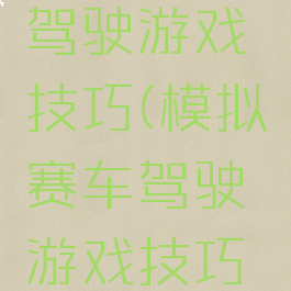 模拟赛车驾驶游戏技巧(模拟赛车驾驶游戏技巧大全)
