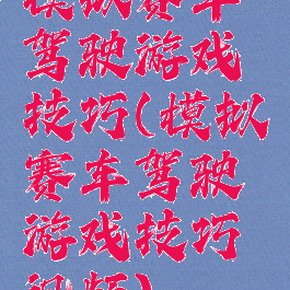 模拟赛车驾驶游戏技巧(模拟赛车驾驶游戏技巧视频)