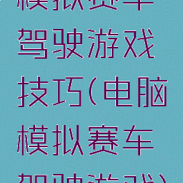 模拟赛车驾驶游戏技巧(电脑模拟赛车驾驶游戏)