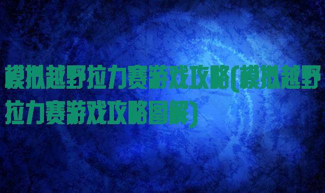 模拟越野拉力赛游戏攻略(模拟越野拉力赛游戏攻略图解)
