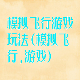 模拟飞行游戏玩法(模拟飞行,游戏)