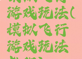 模拟飞行游戏玩法(模拟飞行游戏玩法教程)