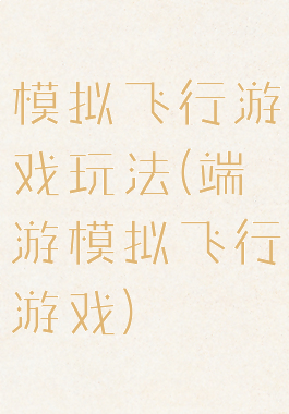 模拟飞行游戏玩法(端游模拟飞行游戏)