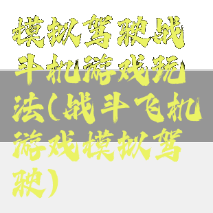 模拟驾驶战斗机游戏玩法(战斗飞机游戏模拟驾驶)