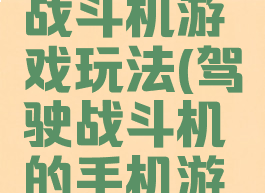 模拟驾驶战斗机游戏玩法(驾驶战斗机的手机游戏)