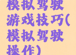 模拟驾驶游戏技巧(模拟驾驶操作)