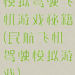 模拟驾驶飞机游戏秘籍(民航飞机驾驶模拟游戏)