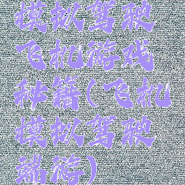 模拟驾驶飞机游戏秘籍(飞机模拟驾驶端游)