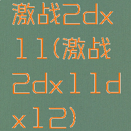 激战2dx11(激战2dx11dx12)