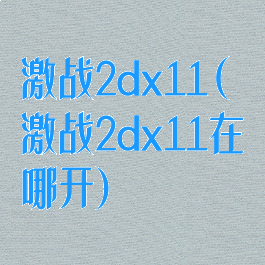 激战2dx11(激战2dx11在哪开)
