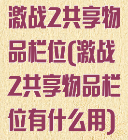 激战2共享物品栏位(激战2共享物品栏位有什么用)