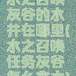 水之召唤灰谷的水井在哪里(水之召唤任务灰谷怎么拿水)