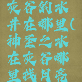 水之召唤灰谷的水井在哪里(神圣之水在灰谷哪里找月亮井)