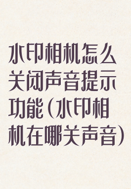 水印相机怎么关闭声音提示功能(水印相机在哪关声音)