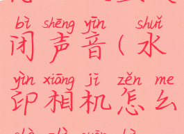 水印相机怎么设置关闭声音(水印相机怎么设置关闭声音功能)