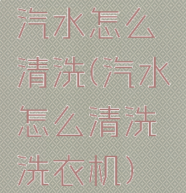 汽水怎么清洗(汽水怎么清洗洗衣机)