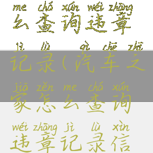 汽车之家怎么查询违章记录(汽车之家怎么查询违章记录信息)