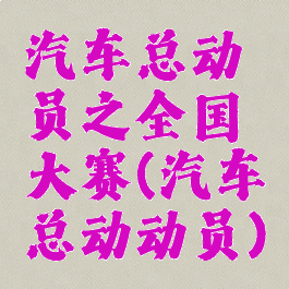 汽车总动员之全国大赛(汽车总动动员)