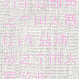 汽车总动员之全国大赛(汽车总动员之全国大赛游戏)