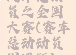 汽车总动员之全国大赛(赛车总动动员国语版)