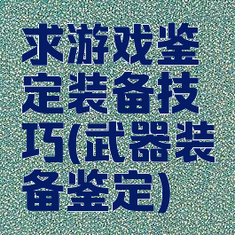 求游戏鉴定装备技巧(武器装备鉴定)