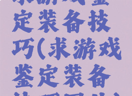 求游戏鉴定装备技巧(求游戏鉴定装备技巧图片)