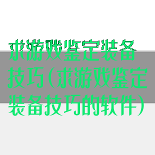 求游戏鉴定装备技巧(求游戏鉴定装备技巧的软件)