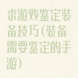 求游戏鉴定装备技巧(装备需要鉴定的手游)