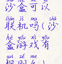 沙盒可以联机吗(沙盒游戏有规则么)