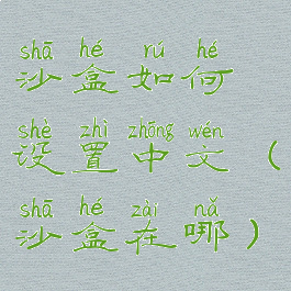 沙盒如何设置中文(沙盒在哪)