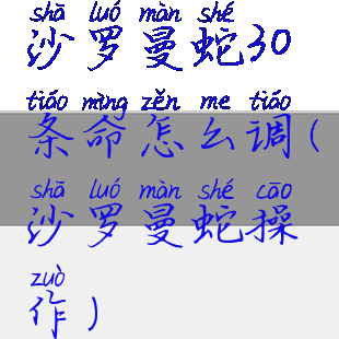 沙罗曼蛇30条命怎么调(沙罗曼蛇操作)